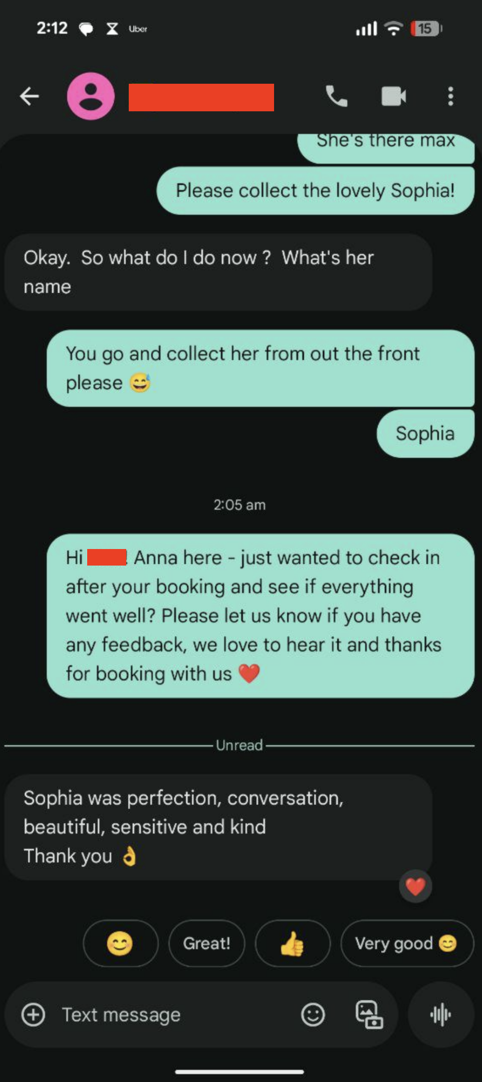 Luxe Escort Review - Sophia 2